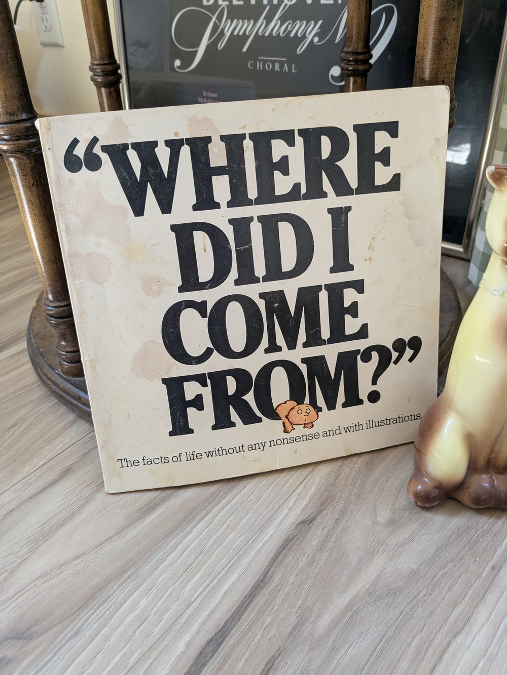 1970's "Where Did I Come From?" Illustrated Book - Cream & Black Cover 🌟🌟
